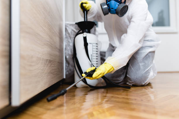 Professional Pest Control in Olive Hill, KY