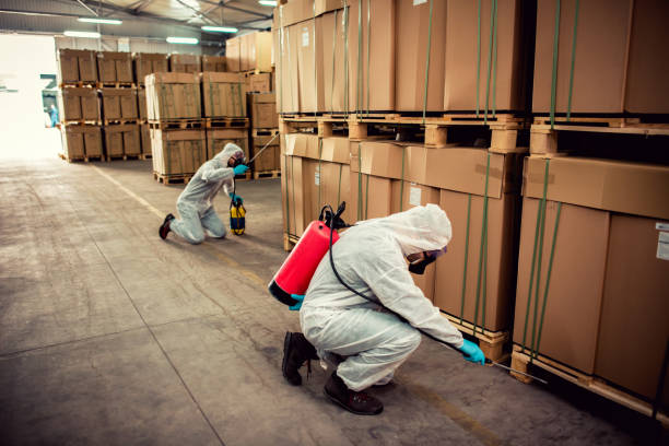 Best Pest Removal Services  in Olive Hill, KY