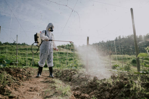 Best Mosquito Control Services  in Olive Hill, KY