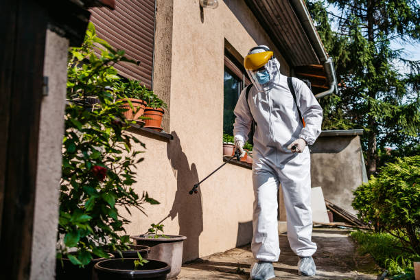 Best Pest Prevention Services  in Olive Hill, KY