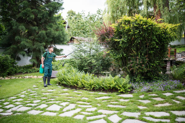 Best Pest Control Treatment  in Olive Hill, KY