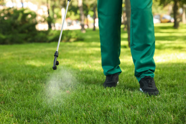Best Best Pest Control Companies  in Olive Hill, KY