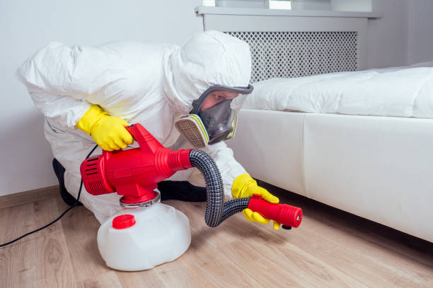 Best Termite Control Services  in Olive Hill, KY