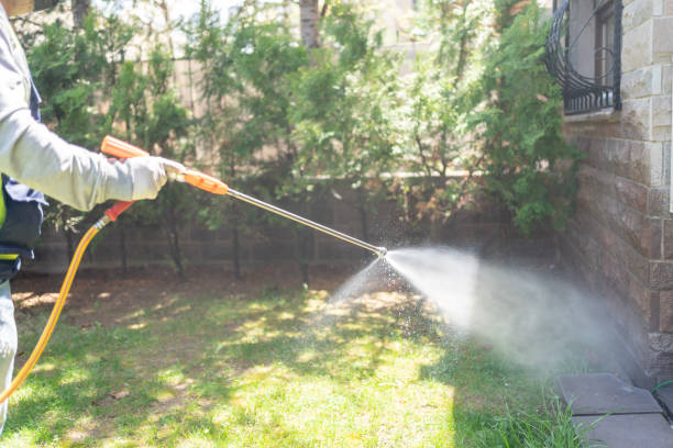 Best Commercial Pest Control Services  in Olive Hill, KY